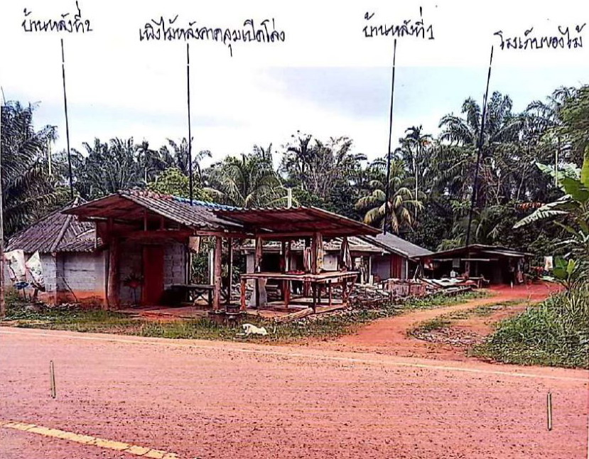 ขายทอดตลาด ที่ดินพร้อมสิ่งปลูกสร้าง ต.ไทรทอง อ.ชัยบุรี จ.สุราษฎร์ธานี