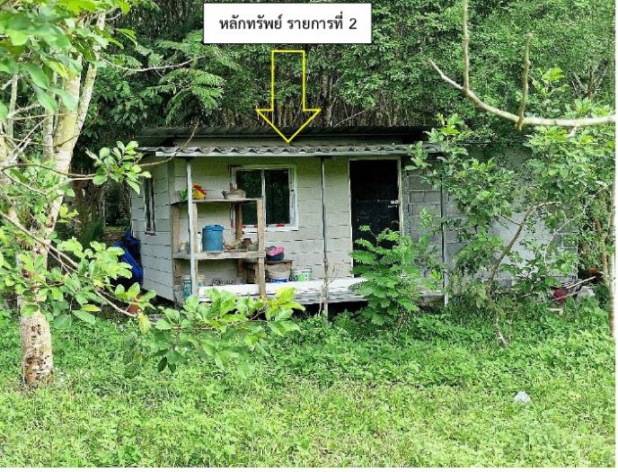 ขายทอดตลาด ที่ดินพร้อมสิ่งปลูกสร้าง ต.ทุ่งเตาใหม่ อ.บ้านนาสาร จ.สุราษฎร์ธานี