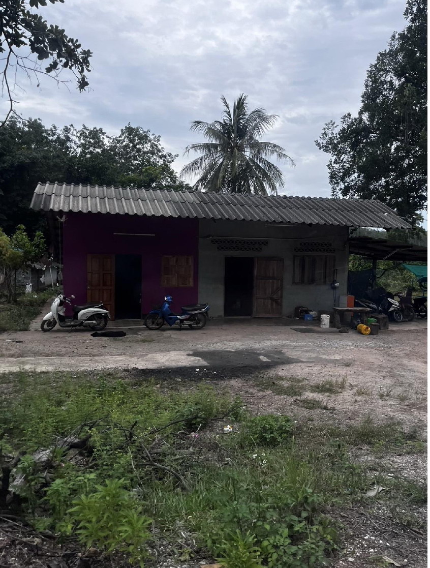 ขายทอดตลาด ที่ดินพร้อมสิ่งปลูกสร้าง ต.ควนสุบรรณ อ.บ้านนาสาร จ.สุราษฎร์ธานี