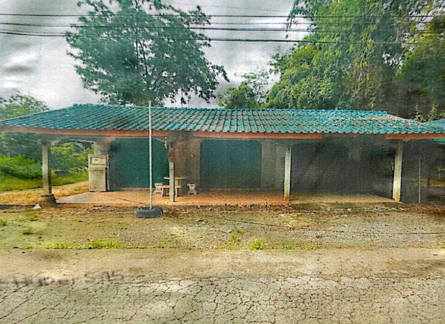 ขายทอดตลาด ที่ดินพร้อมสิ่งปลูกสร้าง ต.คลองฉนวน อ.เวียงสระ จ.สุราษฎร์ธานี