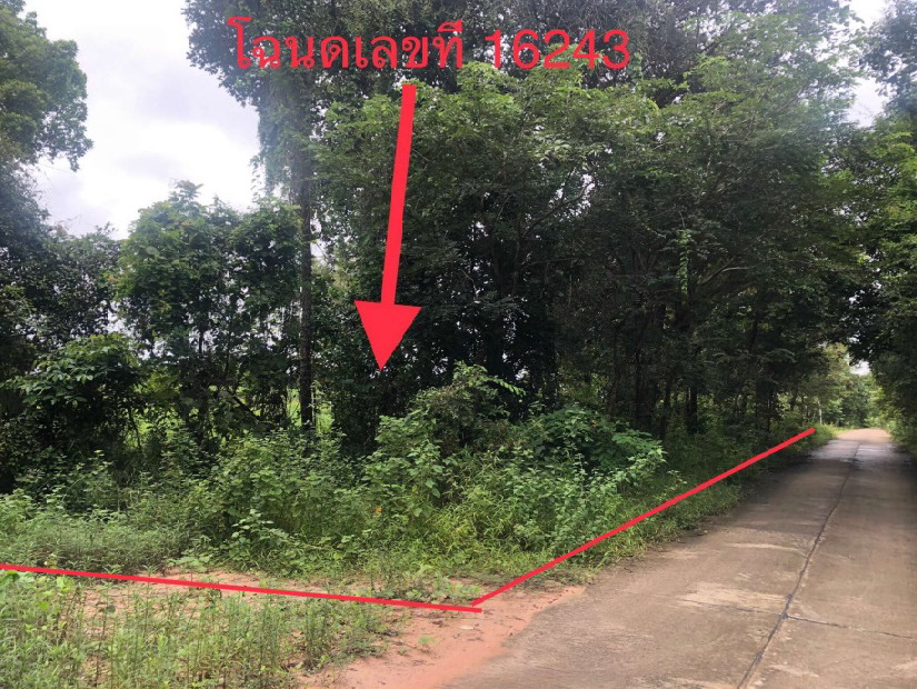 ขายทอดตลาด ที่ดินว่างเปล่า จ.กาฬสินธุ์