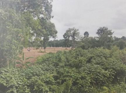 ขายทอดตลาด ที่ดินว่างเปล่า ต.ตาลเดี่ยว อ.แก่งคอย จ.สระบุรี