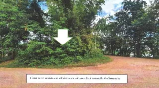 รูปทรัพย์ 1
