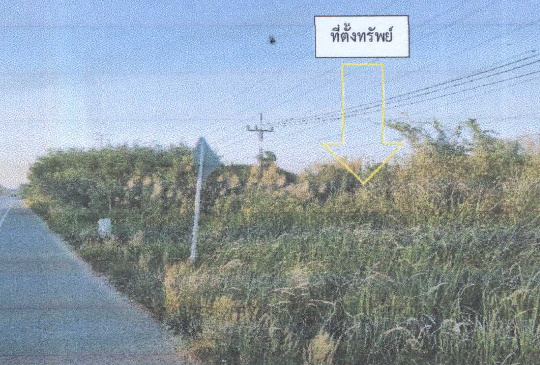 ขายทอดตลาด ที่ดินว่างเปล่า จ.สุราษฎร์ธานี