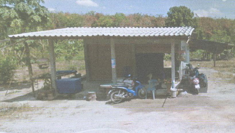 ขายทอดตลาด ที่ดินพร้อมสิ่งปลูกสร้าง ต.ท่าชี อ.บ้านนาสาร จ.สุราษฎร์ธานี
