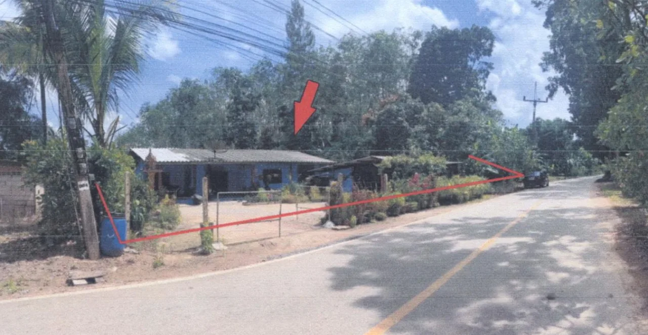 ขายทอดตลาด ที่ดินพร้อมสิ่งปลูกสร้าง ต.ตะกุกเหนือ อ.วิภาวดี จ.สุราษฎร์ธานี