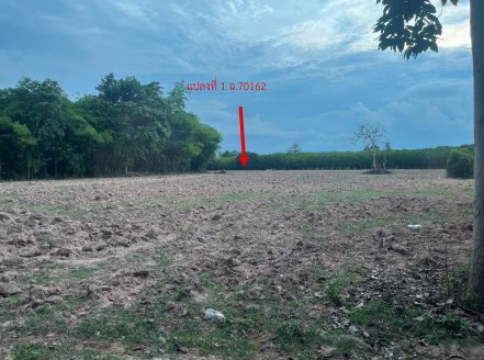 ขายทอดตลาด ที่ดินว่างเปล่า จ.กาฬสินธุ์