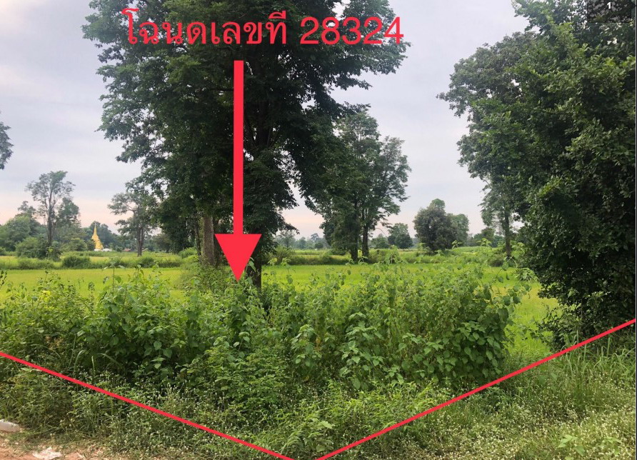 ขายทอดตลาด ที่ดินว่างเปล่า จ.กาฬสินธุ์