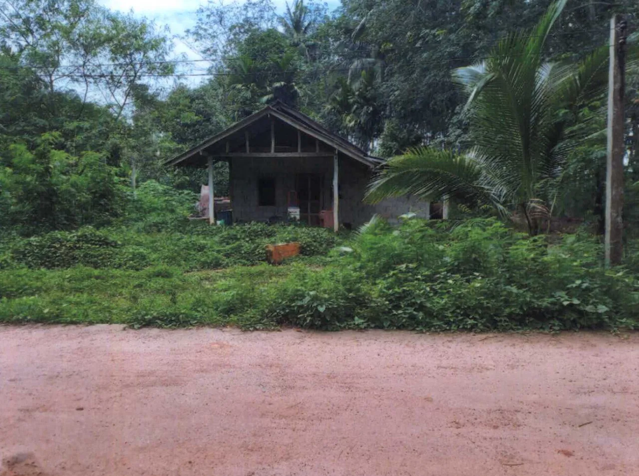 ขายทอดตลาด ที่ดินพร้อมสิ่งปลูกสร้าง ต.สองแพรก อ.ชัยบุรี จ.สุราษฎร์ธานี