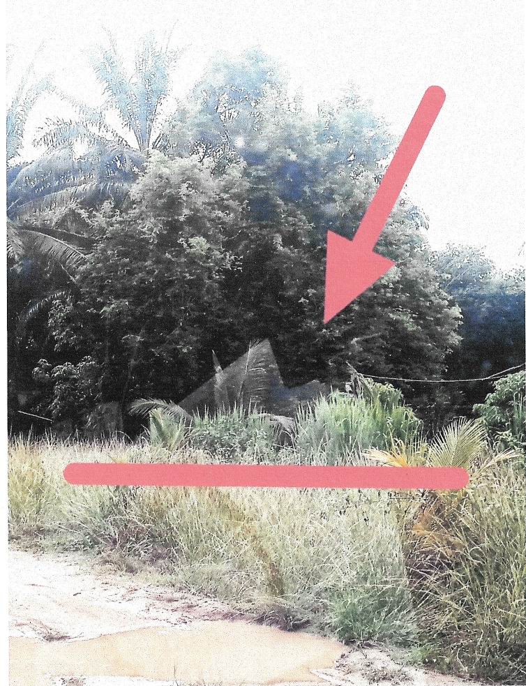 ขายทอดตลาด ที่ดินว่างเปล่า ต.ตะกุกเหนือ อ.กิ่งอำเภอวิภาวดี จ.สุราษฎร์ธานี