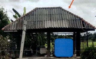 รูปทรัพย์ 1