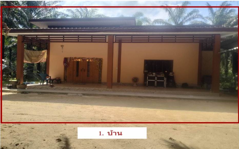 ขายทอดตลาด ที่ดินพร้อมสิ่งปลูกสร้าง ต.ป่าเว อ.ไชยา จ.สุราษฎร์ธานี
