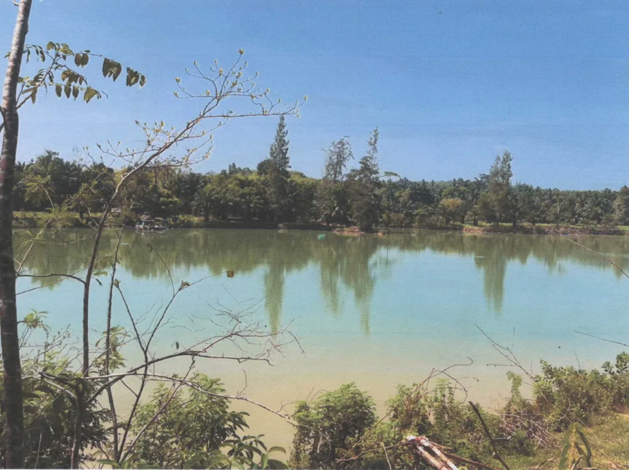 ขายทอดตลาด ที่ดินว่างเปล่า ต.อิปัน อ.พระแสง จ.สุราษฎร์ธานี