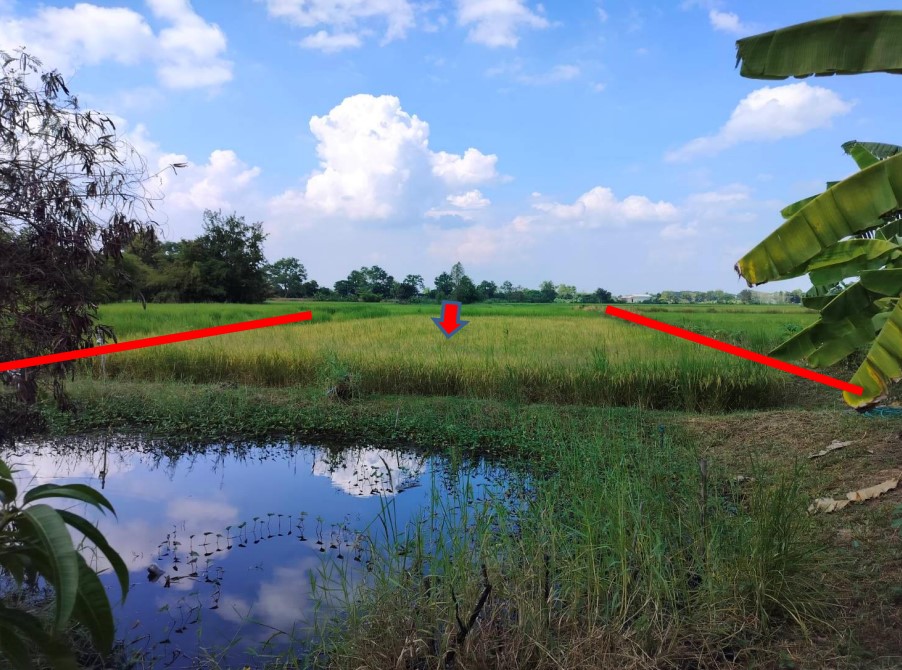 ขายทอดตลาด ที่ดินว่างเปล่า ต.สำราญ อ.เมืองขอนแก่น จ.ขอนแก่น