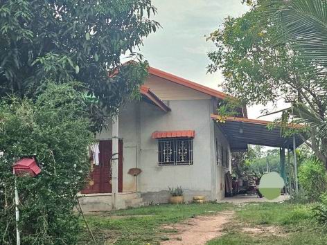 ขายทอดตลาด ที่ดินพร้อมสิ่งปลูกสร้าง ต.นาจำปา อ.ดอนจาน จ.กาฬสินธุ์