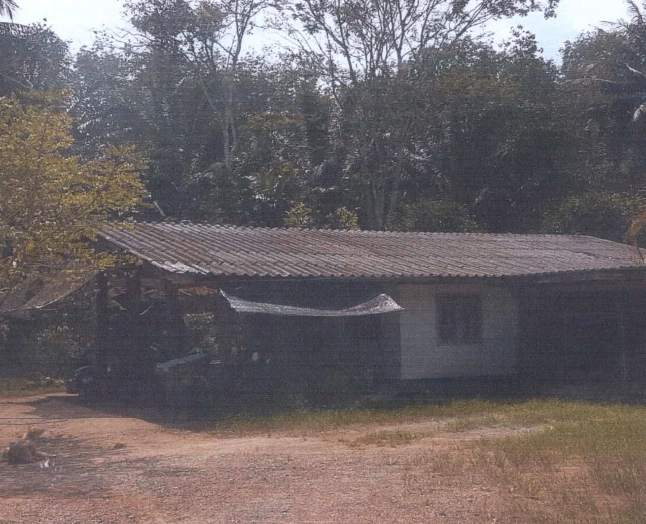 ขายทอดตลาด ที่ดินพร้อมสิ่งปลูกสร้าง ต.ตะกุกเหนือ อ.กิ่งอำเภอวิภาวดี จ.สุราษฎร์ธานี