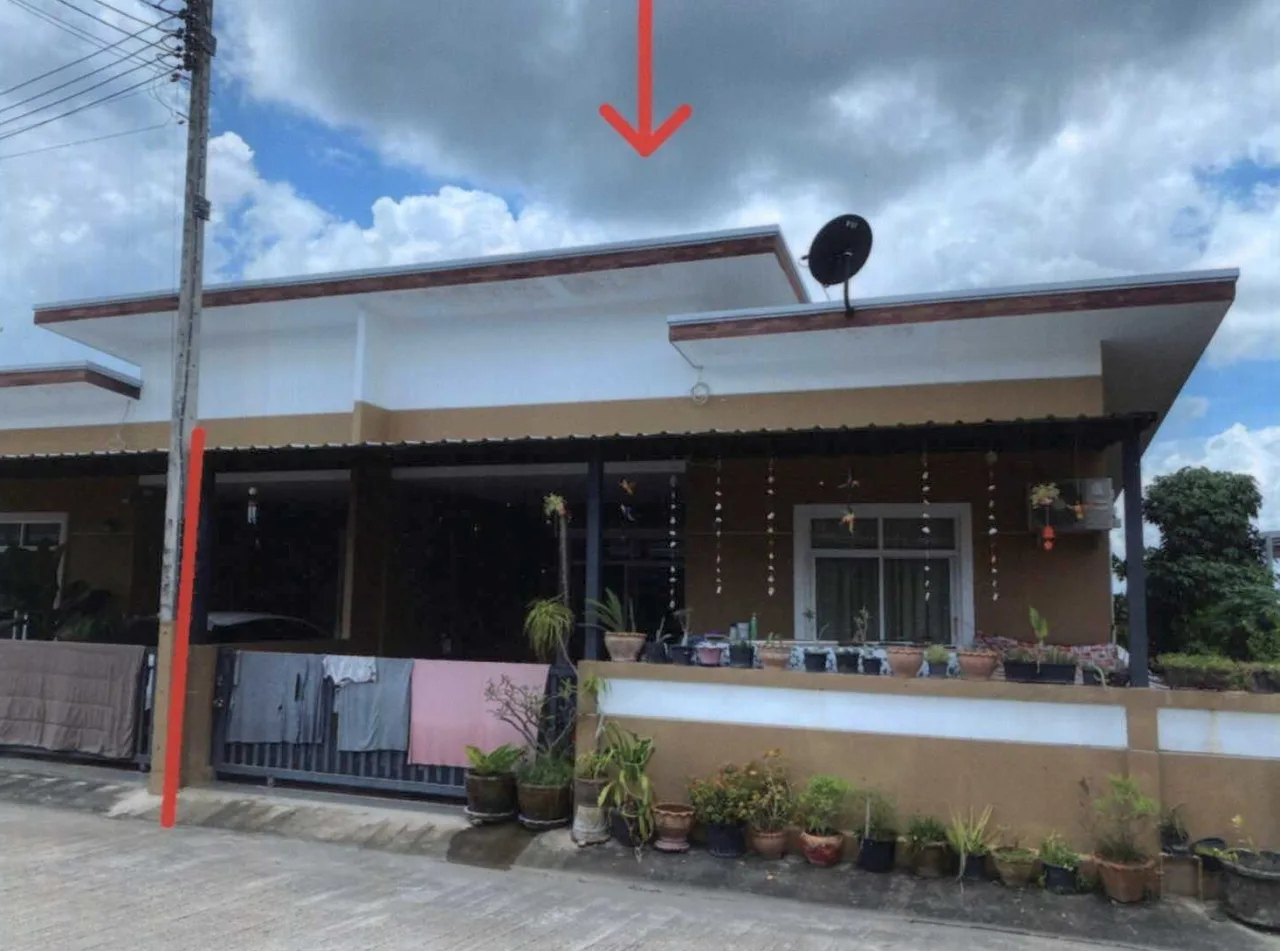 ขายทอดตลาด ที่ดินพร้อมสิ่งปลูกสร้าง ต.เขานิพันธ์ อ.เวียงสระ จ.สุราษฎร์ธานี