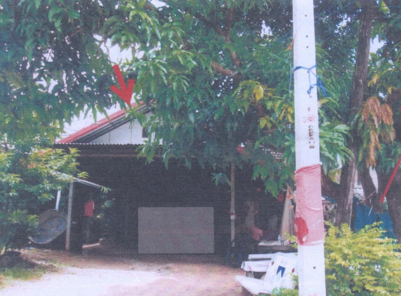 ขายทอดตลาด ที่ดินพร้อมสิ่งปลูกสร้าง ต.ในเมือง อ.เมืองชัยภูมิ จ.ชัยภูมิ