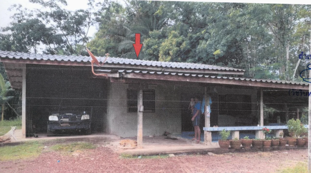 ขายทอดตลาด ที่ดินพร้อมสิ่งปลูกสร้าง ต.ตะกุกใต้ อ.วิภาวดี จ.สุราษฎร์ธานี