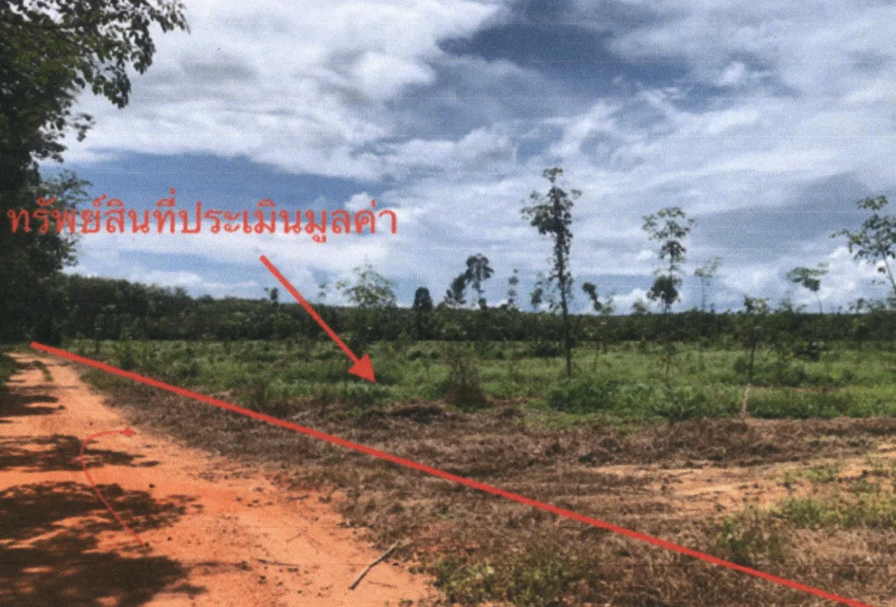 ขายทอดตลาด ที่ดินว่างเปล่า ต.คลองไทร อ.ท่าฉาง จ.สุราษฎร์ธานี