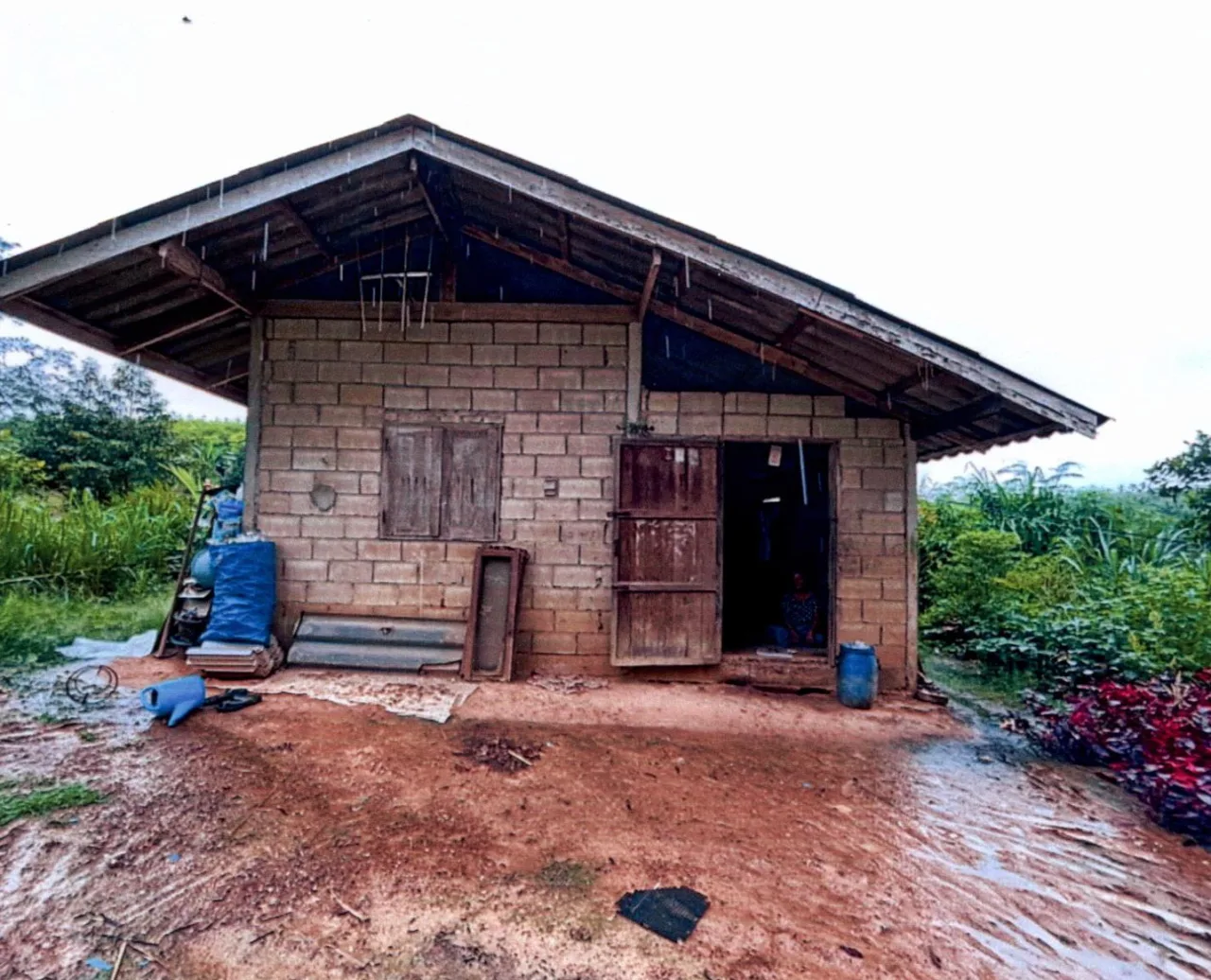ขายทอดตลาด ที่ดินพร้อมสิ่งปลูกสร้าง ต.ตะกุกใต้ อ.วิภาวดี จ.สุราษฎร์ธานี
