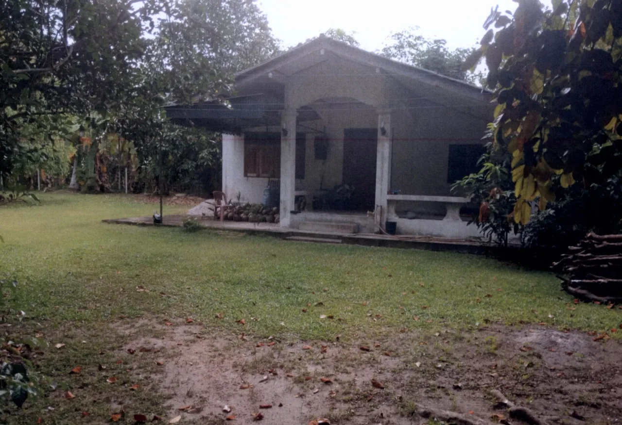ขายทอดตลาด ที่ดินพร้อมสิ่งปลูกสร้าง ต.ป่าเว อ.ไชยา จ.สุราษฎร์ธานี