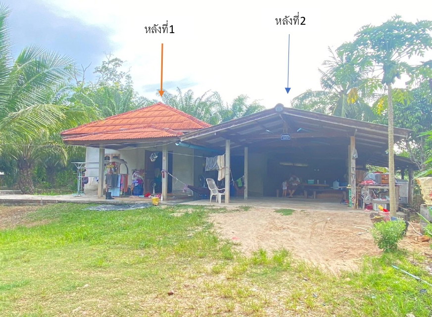 ขายทอดตลาด ที่ดินพร้อมสิ่งปลูกสร้าง ต.เสวียด อ.ท่าฉาง จ.สุราษฎร์ธานี