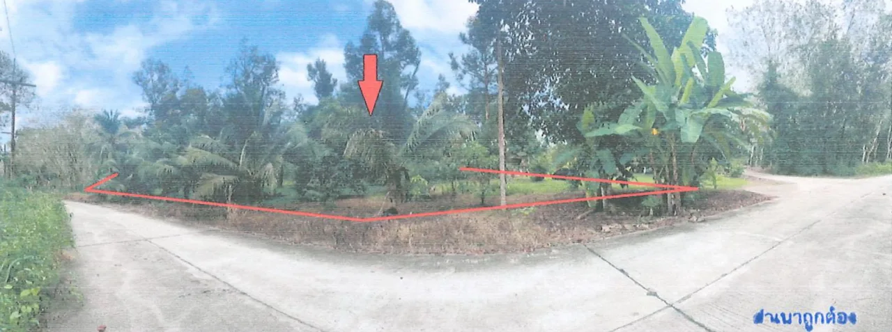 ขายทอดตลาด ที่ดินว่างเปล่า จ.สุราษฎร์ธานี