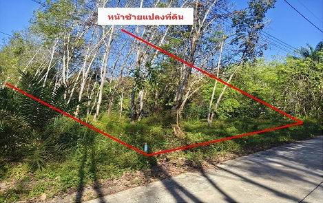 ขายทอดตลาด ที่ดินว่างเปล่า จ.สุราษฎร์ธานี