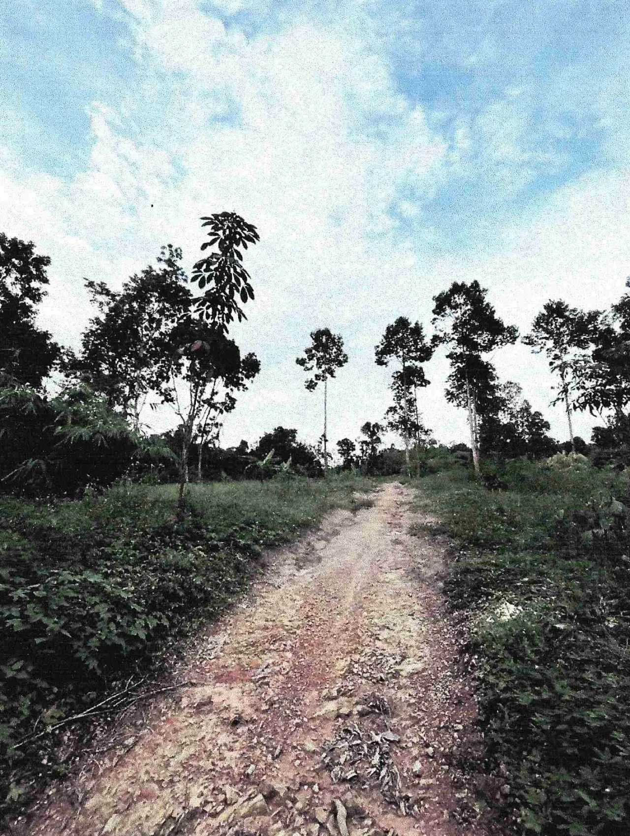 ขายทอดตลาด ที่ดินว่างเปล่า ต.ตะกุกเหนือ อ.วิภาวดี จ.สุราษฎร์ธานี