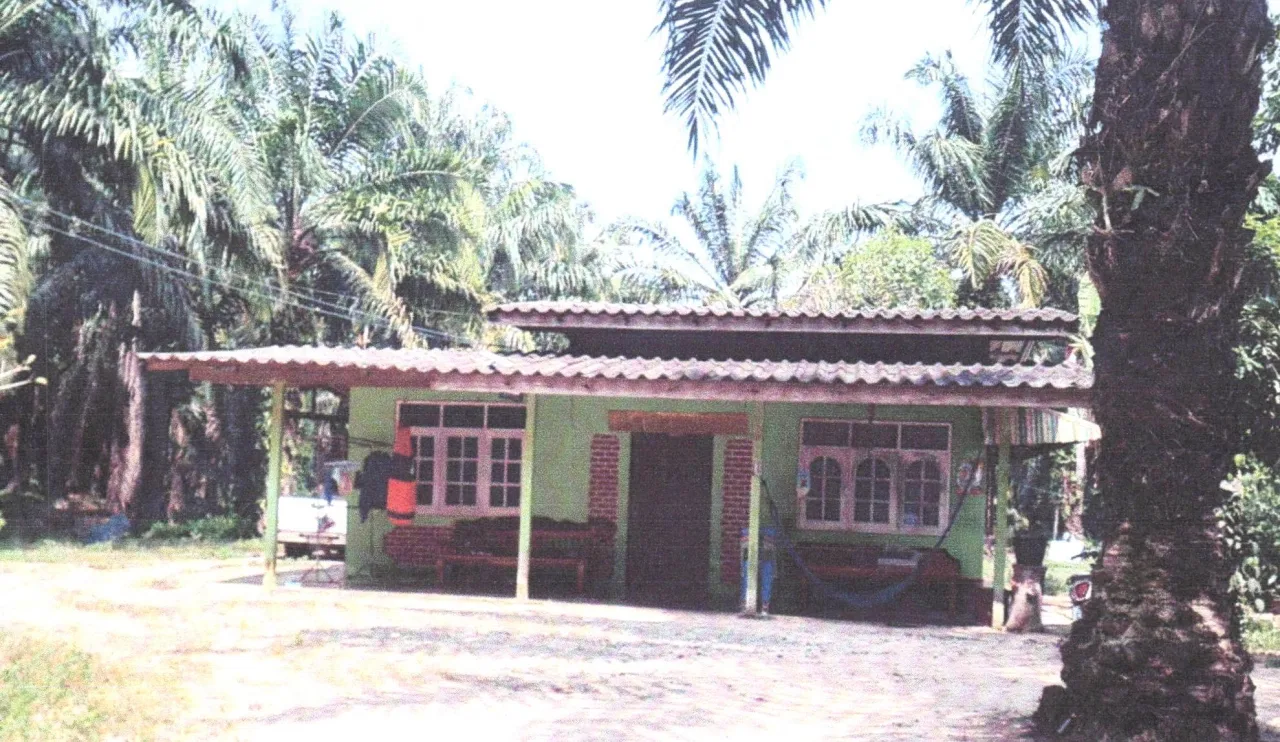 ขายทอดตลาด ที่ดินพร้อมสิ่งปลูกสร้าง ต.ท่าชนะ อ.ท่าชนะ จ.สุราษฎร์ธานี