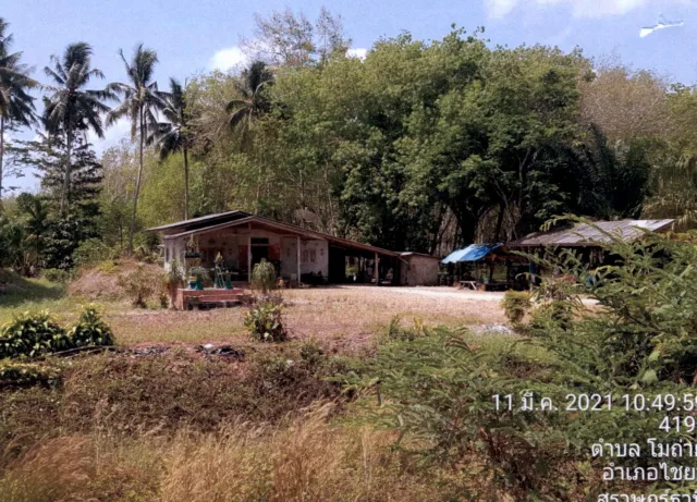 ขายทอดตลาด สิ่งปลูกสร้าง ต.โมถ่าย อ.ไชยา จ.สุราษฎร์ธานี