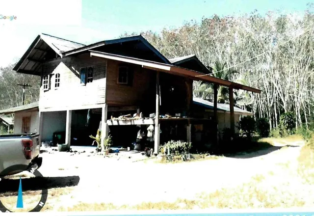 ขายทอดตลาด สิ่งปลูกสร้าง ต.ปากหมาก อ.ไชยา จ.สุราษฎร์ธานี