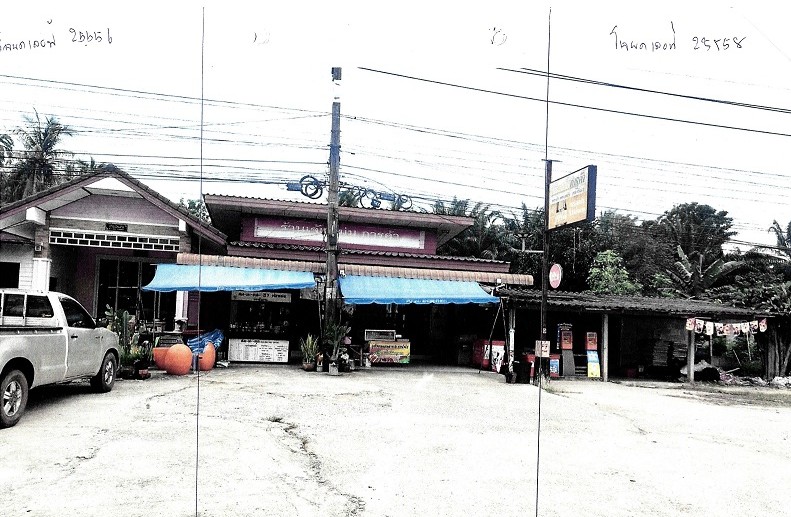 ขายทอดตลาด ที่ดินพร้อมสิ่งปลูกสร้าง ต.เลม็ด อ.ไชยา จ.สุราษฎร์ธานี