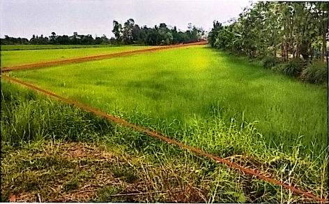 ขายทอดตลาด ที่ดินว่างเปล่า จ.กาฬสินธุ์