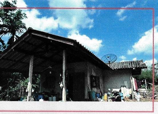 ขายทอดตลาด ที่ดินพร้อมสิ่งปลูกสร้าง ต.ตะกุกใต้ อ.วิภาวดี จ.สุราษฎร์ธานี