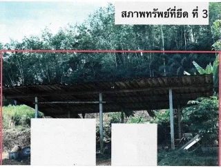 รูปทรัพย์ 2