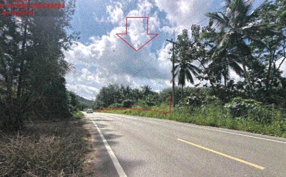 ขายทอดตลาด ที่ดินว่างเปล่า ต.ตะกุกใต้ อ.วิภาวดี จ.สุราษฎร์ธานี