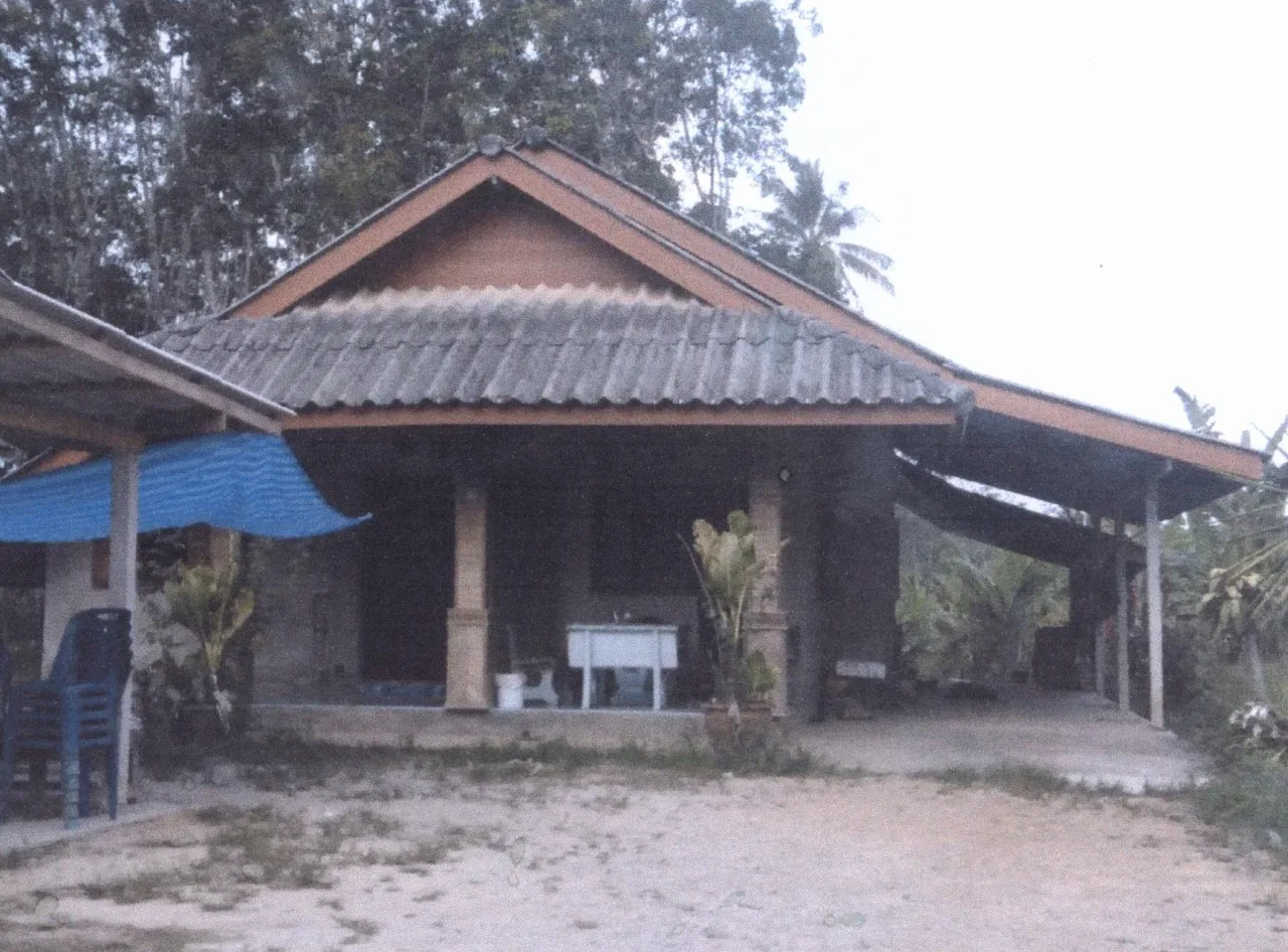 ขายทอดตลาด ที่ดินพร้อมสิ่งปลูกสร้าง ต.ตะกุกใต้ อ.กิ่งอำเภอวิภาวดี จ.สุราษฎร์ธานี
