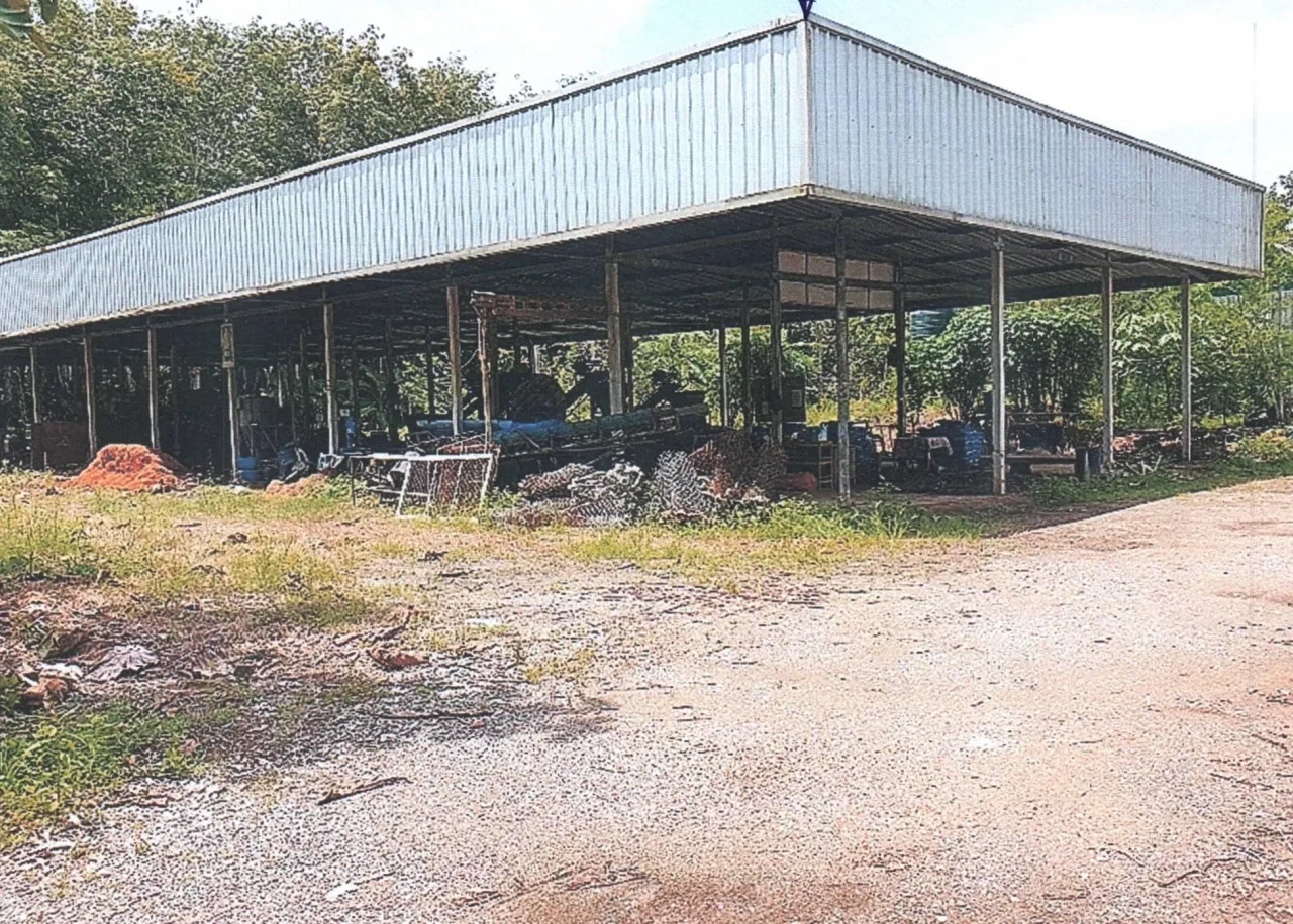 ขายทอดตลาด ที่ดินพร้อมสิ่งปลูกสร้าง ต.ทุ่งหลวง อ.เวียงสระ จ.สุราษฎร์ธานี