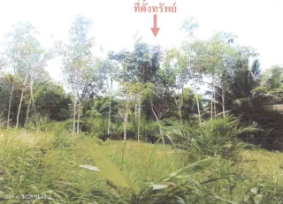 รูปทรัพย์ 1
