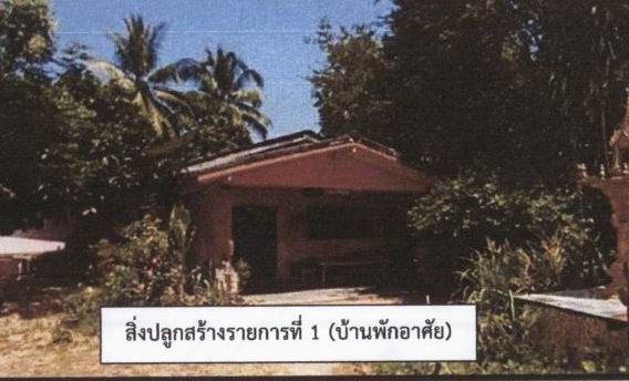 ขายทอดตลาด ที่ดินพร้อมสิ่งปลูกสร้าง ต.ท่าชนะ อ.ท่าชนะ จ.สุราษฎร์ธานี