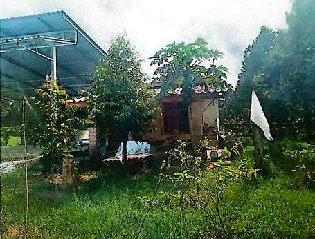 ขายทอดตลาด ที่ดินพร้อมสิ่งปลูกสร้าง ต.ควนสุบรรณ อ.บ้านนาสาร จ.สุราษฎร์ธานี