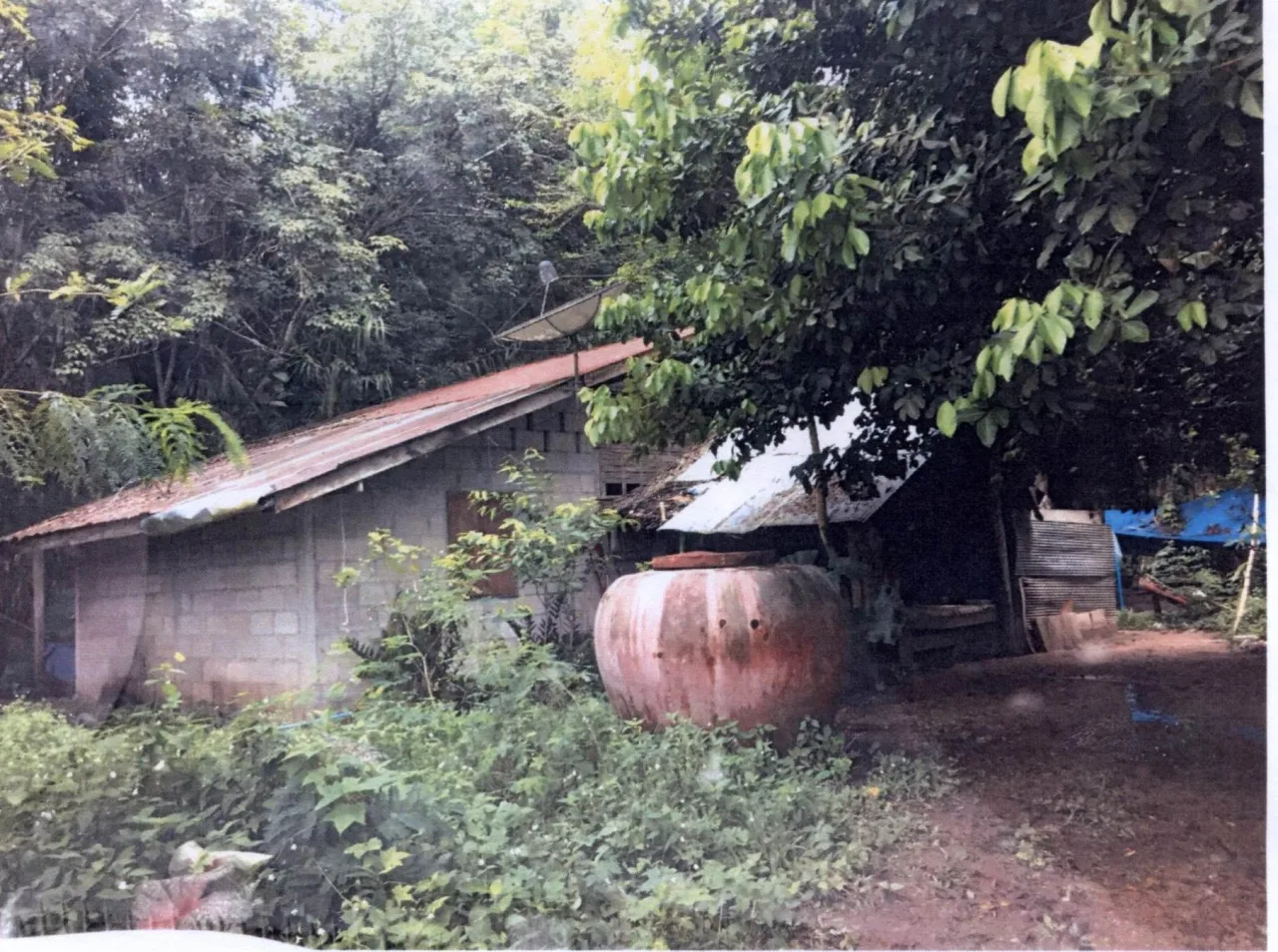 ขายทอดตลาด ที่ดินพร้อมสิ่งปลูกสร้าง ต.ตะกุกใต้ อ.วิภาวดี จ.สุราษฎร์ธานี