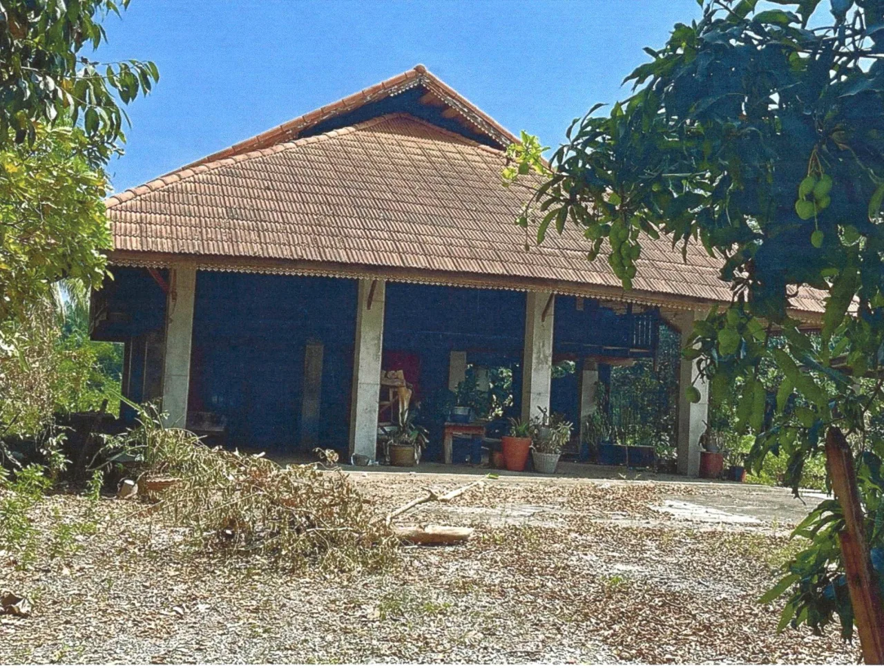ขายทอดตลาด ที่ดินพร้อมสิ่งปลูกสร้าง ต.คลองไทร อ.ท่าฉาง จ.สุราษฎร์ธานี