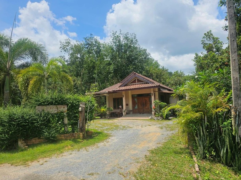 ขายทอดตลาด ที่ดินพร้อมสิ่งปลูกสร้าง ต.พรุพี อ.บ้านนาสาร จ.สุราษฎร์ธานี