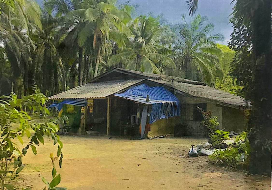 ขายทอดตลาด ที่ดินพร้อมสิ่งปลูกสร้าง ต.เสวียด อ.ท่าฉาง จ.สุราษฎร์ธานี