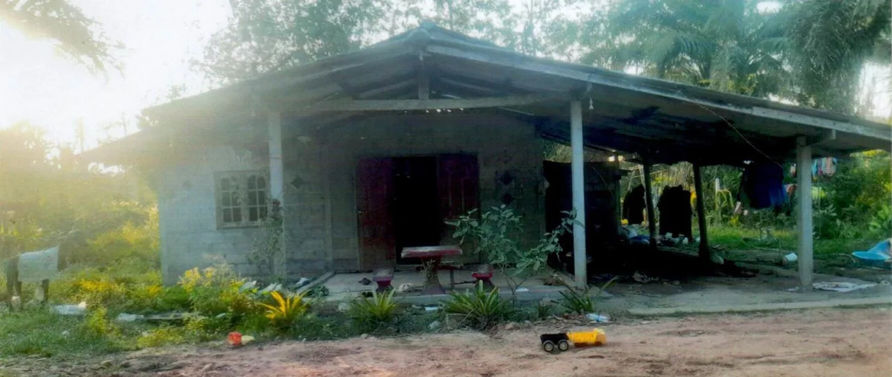 ขายทอดตลาด ที่ดินพร้อมสิ่งปลูกสร้าง ต.โมถ่าย อ.ไชยา จ.สุราษฎร์ธานี