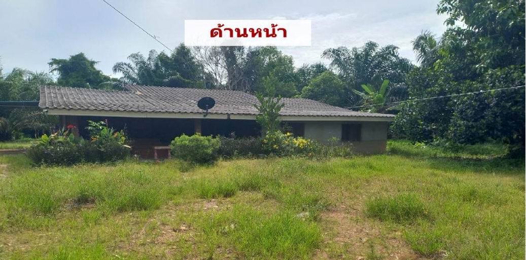 ขายทอดตลาด ที่ดินพร้อมสิ่งปลูกสร้าง ต.ท่าเคย อ.ท่าฉาง จ.สุราษฎร์ธานี