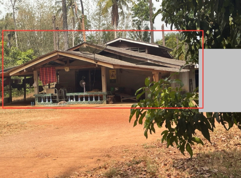 ขายทอดตลาด ที่ดินพร้อมสิ่งปลูกสร้าง ต.สองแพรก อ.(พระเเสง)ชัยบุรี จ.สุราษฎร์ธานี